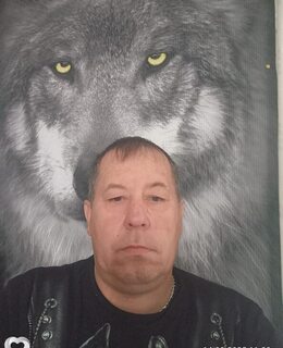 Роман