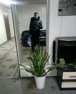 Андрей