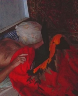 Сергей — фото 19